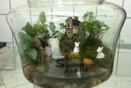 Eu vou te ensinar a criar mini jardins de inverno