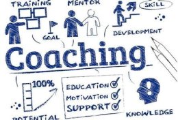 Eu vou fazer um coaching profissional e/ou profissional com você