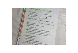 Eu vou tirar suas dúvidas nas matérias de escola