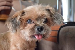 Eu vou melhorar sua foto para você postar