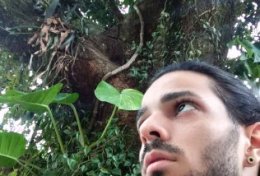 Eu vou buscar-te uma orientação nas cartas