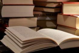 Eu vou criar um artigo de até 800 palavras