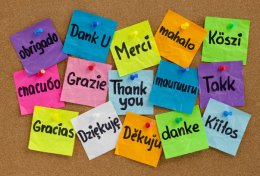 Eu vou traduzir o seu texto de qualquer idioma de até 2000 palavras