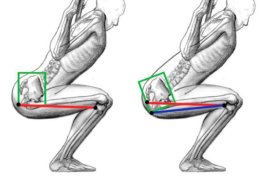 Eu vou te ajudar corrigindo 5 exercícios físicos