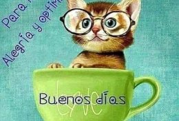 Eu vou traduzir ao español