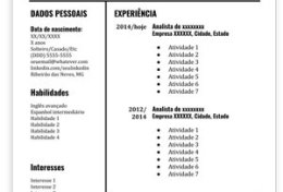 Eu vou fazer o seu curriculo